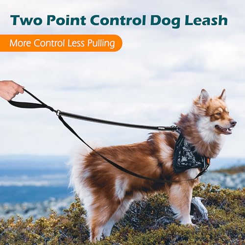 Two Point Control Dog Leash (Black)