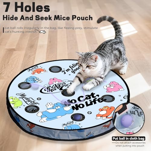 Interactive Cat Toy (No Cat No Life)
