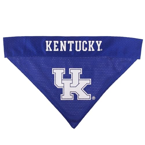 Collegiate Pet Accessories (XX-Large / Kentucky Wildcats)