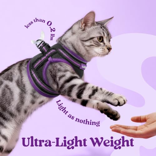 Cat Harness and Leash Set (S / Black & Purple)