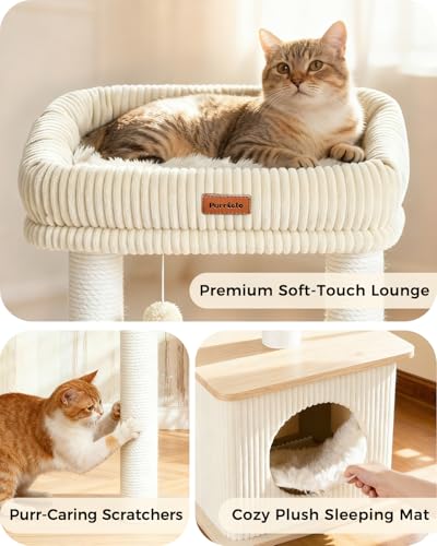 Small Cat Tree for Indoor Kittens (Ash White / Medium)