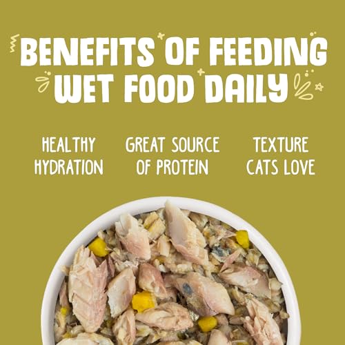 Classic Cat Food (3 Ounce (Pack of 24))
