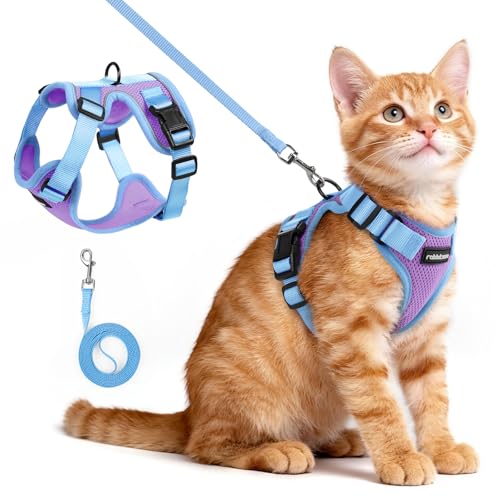 Cat Harness and Leash Set (Purple & Blue / Xs)