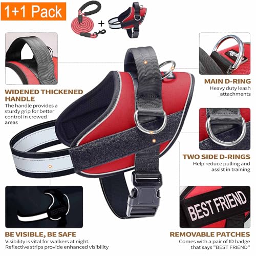 Essential Dog Harness (S / Red)