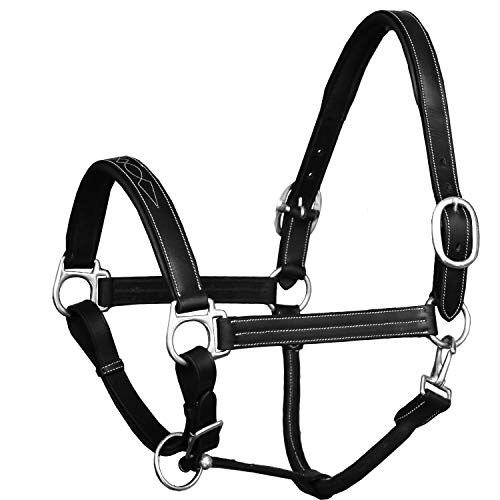 Exion Designer Stitched Padded Cushioned Leather Halter (Black / Full/ Horse Size)