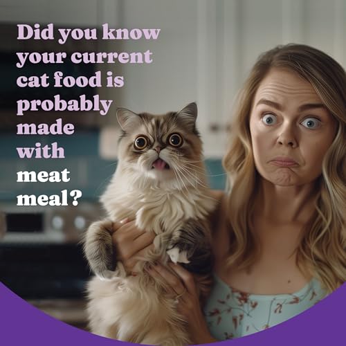 Holistic Dry Cat Food