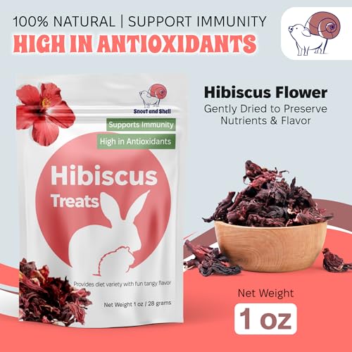 Hibiscus Treats