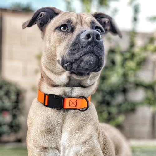 Biothane Waterproof Dog Collar with Quick Release Buckle Strong Coated Nylon Webbing with Odor (1"W by 15-25"L / Hunter Orange)