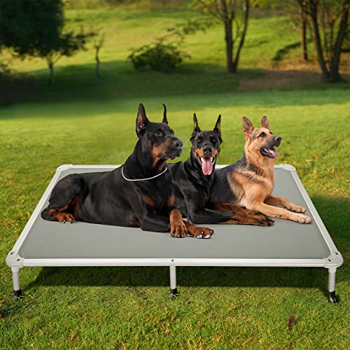 Chew Proof Elevated Dog Bed (Gray / 59.0"L x 37.5"W x 9.0"Th)