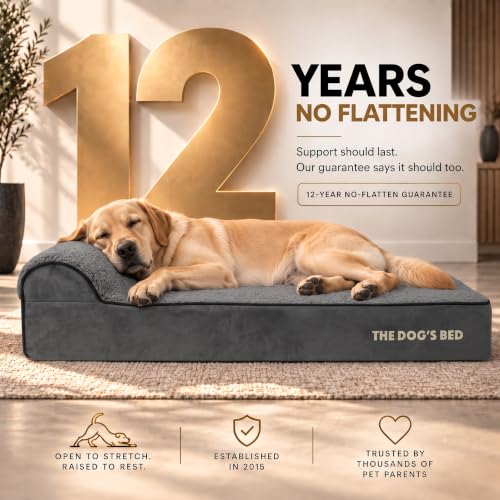 The Dog’s Bed Orthopedic Memory Foam Dog Bed with Headrest Large (Grey Plush / L (40"L x 25"W x 6"Th))