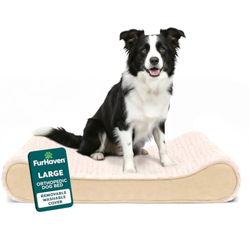 Orthopedic Dog Bed for Large