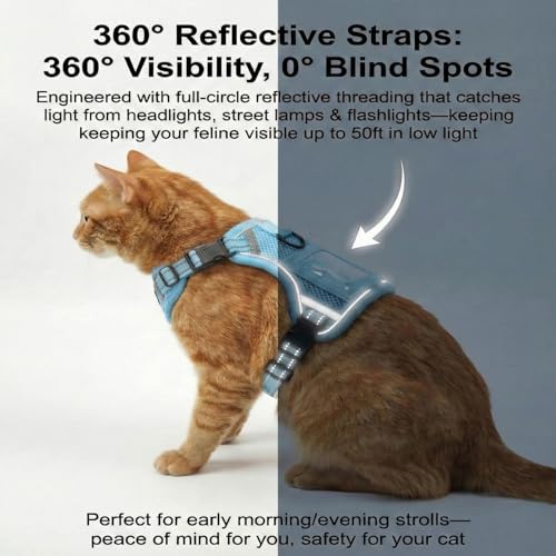 Escape Proof Cat Harness and Leash Set (Light Blue / XS)