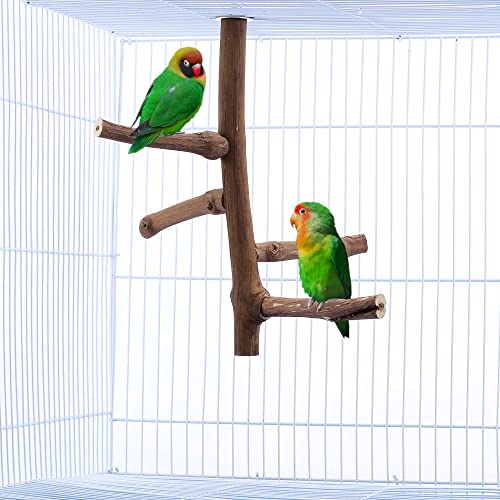 Natural Bird Perch Stand for Cage