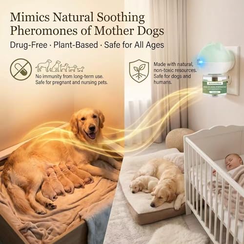 Dog Pheromone Diffuser Kit (6 packs - Bear Diffuser)