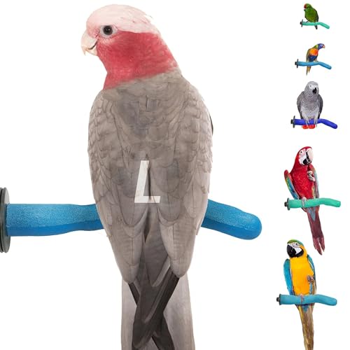 Safety Pumice Bird Perch (Blue / Large 12")