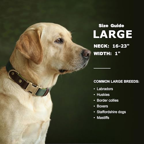 PU Leather Dog Collar for Large Dogs (Green / L: Neck 16-23", Width 1")