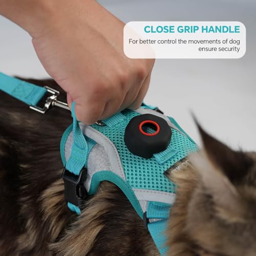 Cat Harness and Leash Set with AirTag Holder (Green (Holder for Airtag) / M)