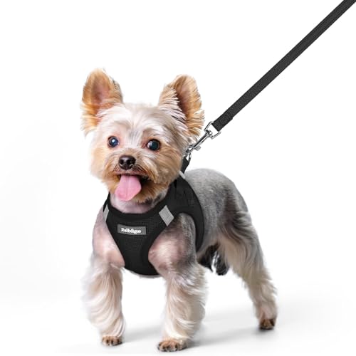 Dog Harness Small Sized and Leash Set (Black / Xs (chest: 13.3 - 15.5"))