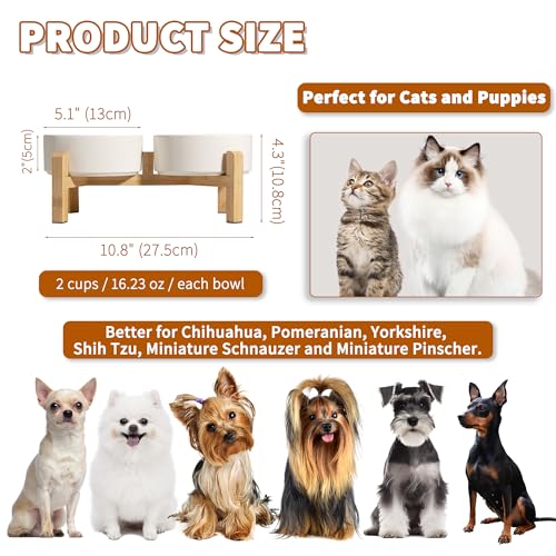 Elevated Ceramic Dog Bowl (White / Small)