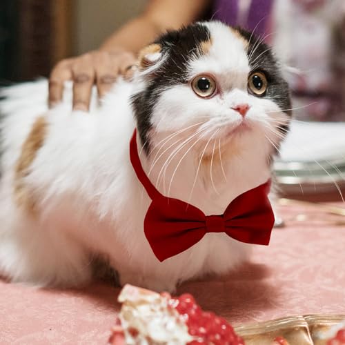 Dog Bow Tie Red Bow Tie with Adjustable Dog Collar for Medium and Large Dogs Cats Pets Wedding Birthday Party Holiday Homecoming Costumes (Wine Red)