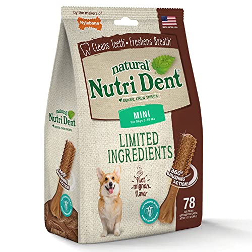 Nutri Dent Dog Dental Treats (13.7 Ounce (Pack of 1))