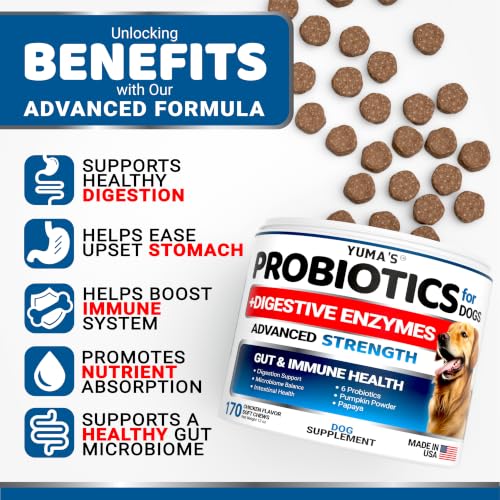 2 Pack) Probiotics for Dogs - 340 Ct - Dog Probiotics Chews for Gut Health (Probiotic Chews / Value Pack (340 Chews))