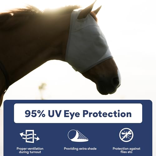 Horse Fly Mask Without Ears