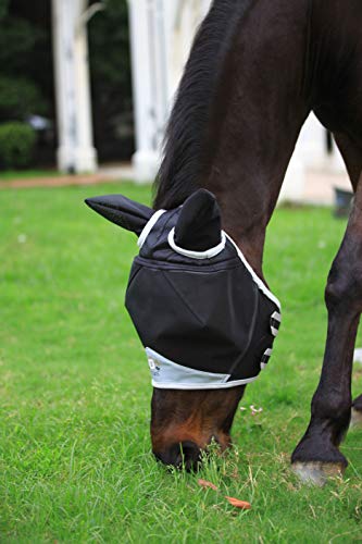 Fine Mesh Horse Fly Mask w (Full / Red)