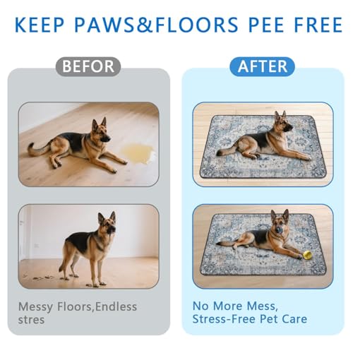 Washable Pee Pads for Dogs 2 Pack (48"x48"(2 Pack) / C Blue)