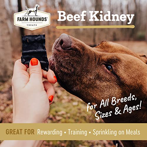Beef Kidney Premium Natural Beef Kidney Jerky For Dogs (4 Ounce (Pack of 2))