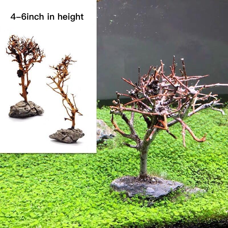 2pcs Small Bonsai Aquarium Tree