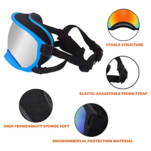 Large Dog Sunglasses