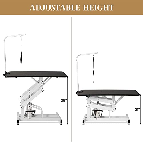 Hydraulic Dog Grooming Table (Single arm)