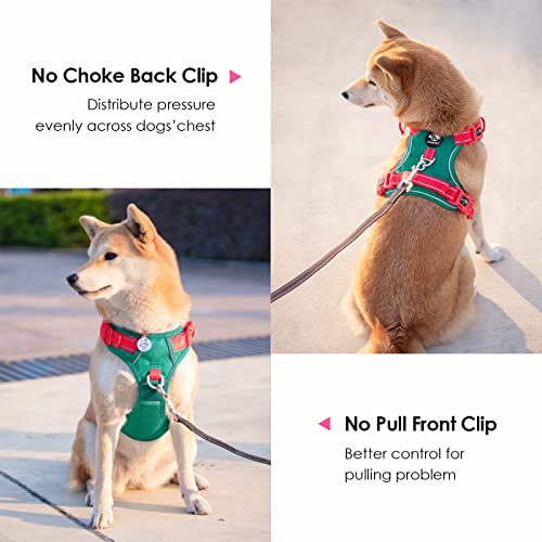 No Pull Dog Harness (Dark Green Base & Red Straps / Medium)