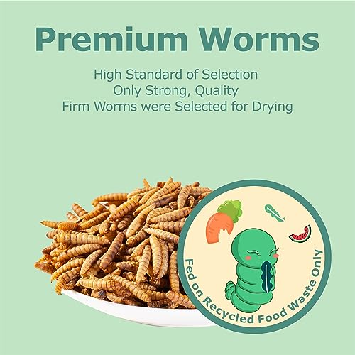 2LB Dried Black Soldier Fly Larvae (2 Pound (Pack of 1))