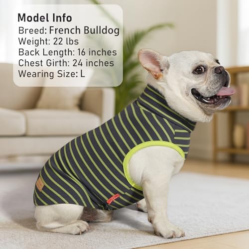2Pack Dog Sweater for Medium Dogs Soft Pet Coats Fleece Sweatshirt (X-Large (19-27lbs) / 4# Stripe+Green)