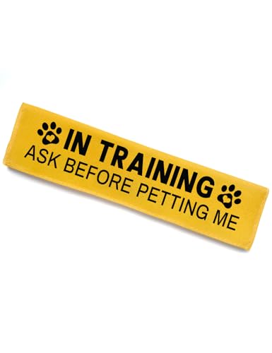 in Training Dog Leash Sleeve (In Training Ask Before)