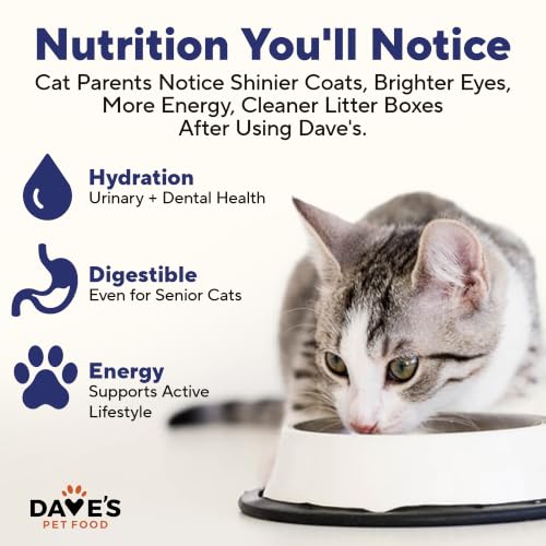 Grain Free Wet Cat Food (5.5 Ounce (Pack of 24))