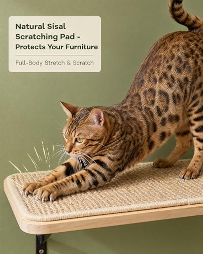 2PCS Cat Wall Shelves with Scratching Mat