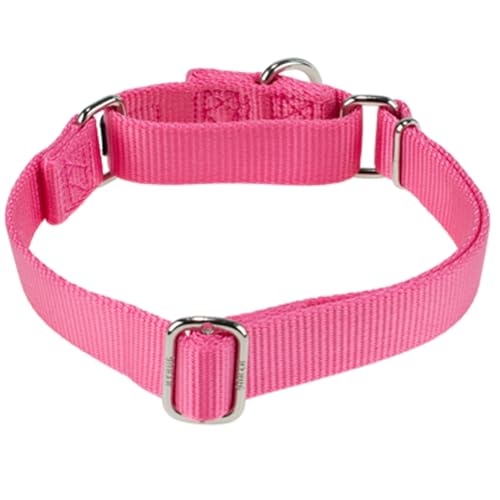 Martingale Dog Collars for Medium Dogs (Medium / Candy Pink)