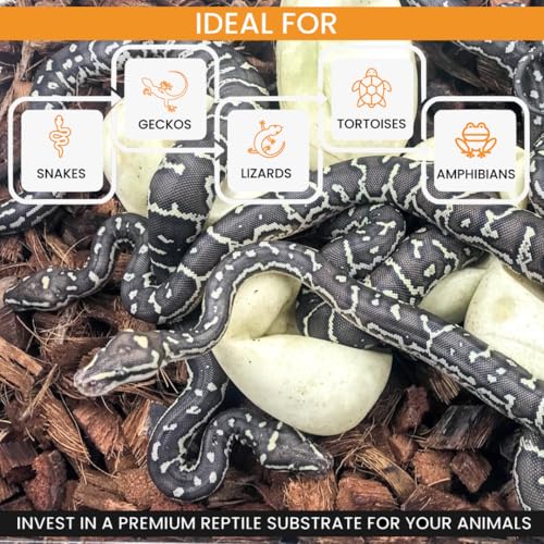 ReptiChip Reptile Bedding Loose Coconut Chip 12 Quart Coco Husk Substrate Mulch for Snake Habitat (12 Quart)