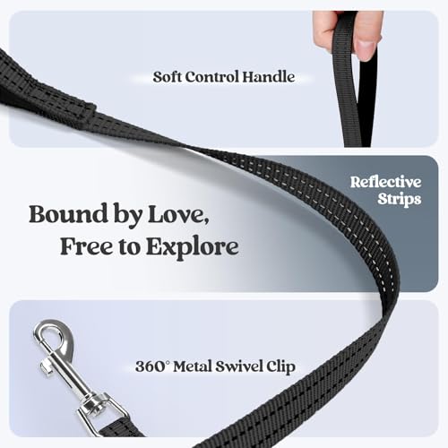Dog Harness Medium Sized and Leash Set (Black / Xl (chest: 20 - 21.8"))