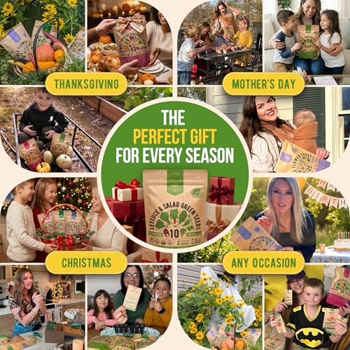 10 Lettuce & Salad Greens Seeds Variety Pack 13000+ Non