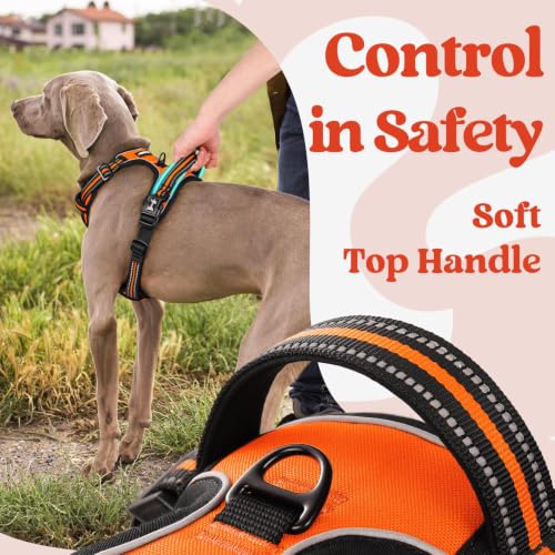 Dog Harness for Large (X-large / Orange)