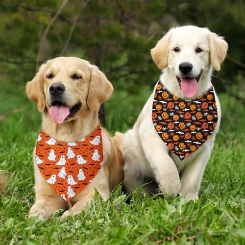Halloween Dog Bandana 2 Pack (D)