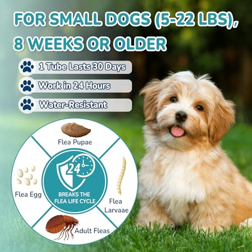 Flea and Tick Prevention for Small Dogs (Small Dogs (5 to 22 lbs))