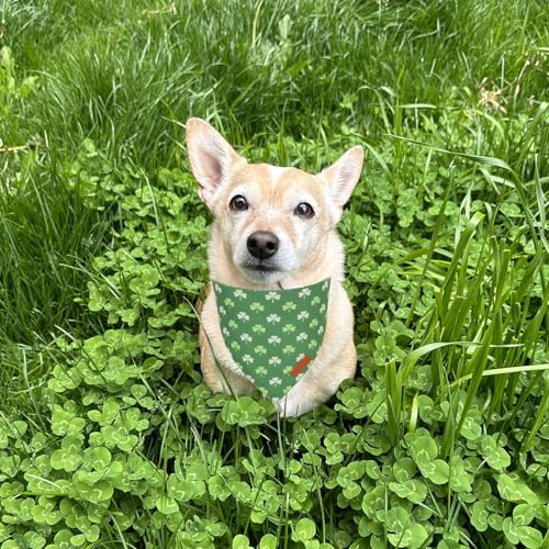 St.Patrick's Day Dog Bandana (Large / St.Patrick's Day)