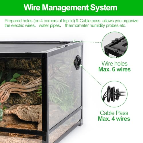 48''x24''x18'' Glass Reptile Terrarium (Large)
