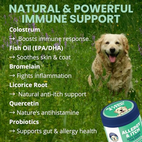 Allergy & Itch Pet Allergy Chews for Dogs