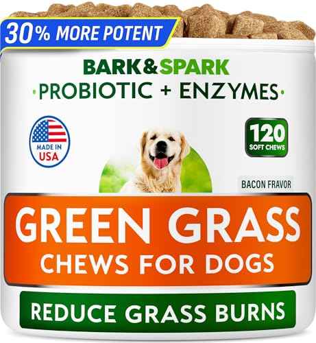Green Grass Dog Chews (Green Grass / 120ct (Bacon))